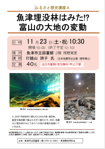 埋没林はみた20241123.PNG